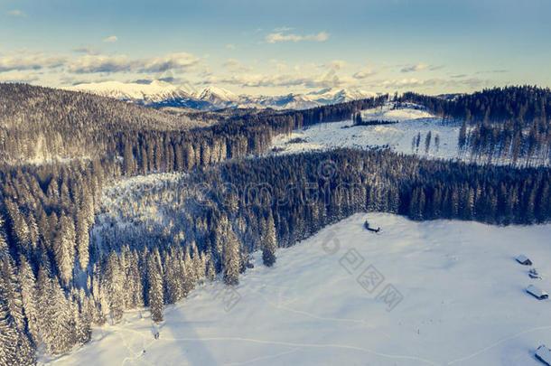 冬季森林上方山脉的鸟瞰图。