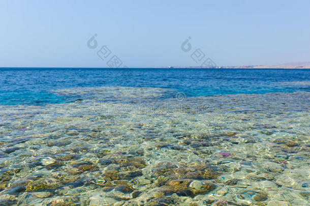 晶莹剔透的海洋与珊瑚和珊瑚礁
