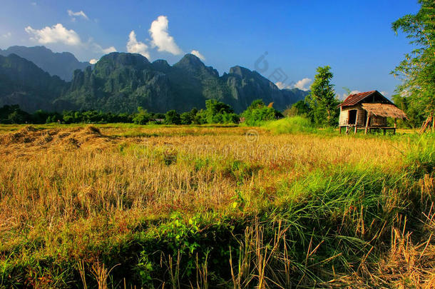 农民`在瓦恩维昂的一个田野上的小屋，维恩省，老挝