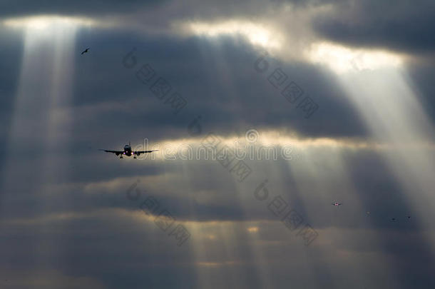 a300飞机a320飞机a321型a330飞机爱琴海