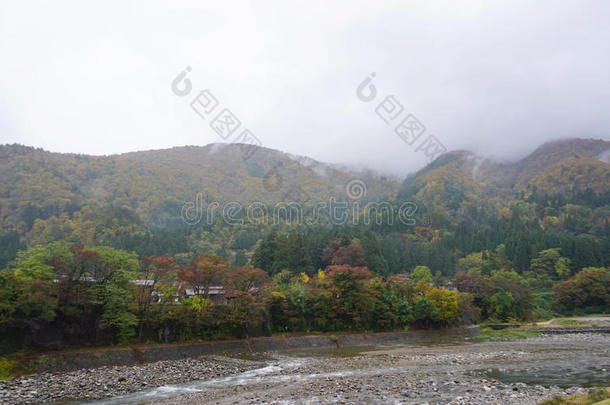 石川村沿河美丽的秋树