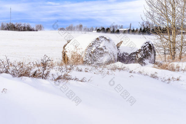 在加拿大阿尔伯塔省的田野上，一捆干草躺在雪地上