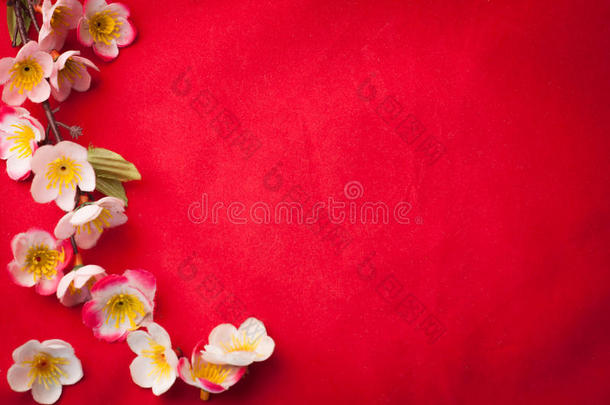 用美丽的花朵庆祝中国新年背景