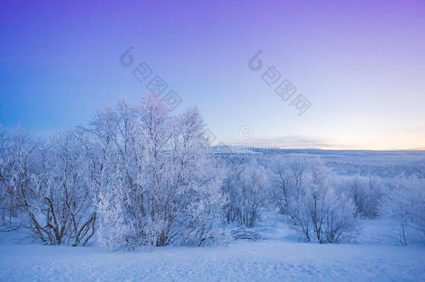 拉普兰冬季寒冷的景观