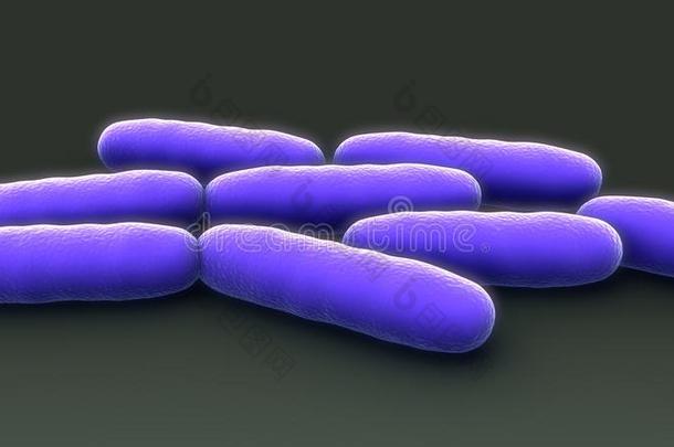 细菌生长