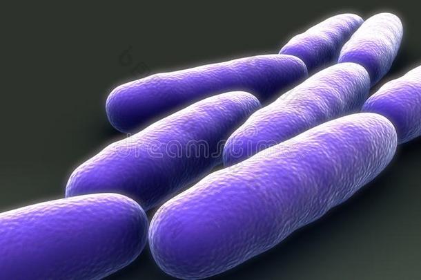 细菌生长