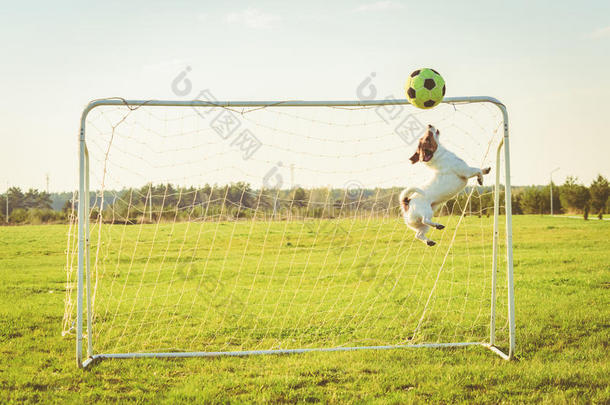 有趣的守门员跳跃和接球足球足球<strong>照片</strong>过滤<strong>效果</strong>