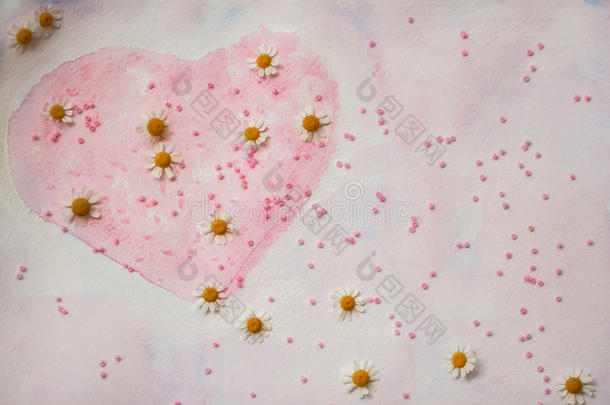 手绘水彩心，装饰着珠子和新鲜的雏菊-情人节的象征`精致的粉红色