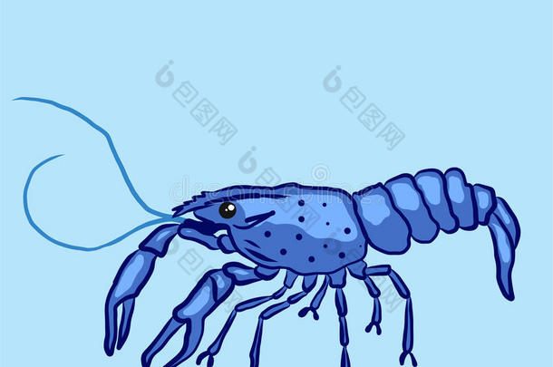 蓝色马龙小龙虾类贝类插图剪辑艺术形象