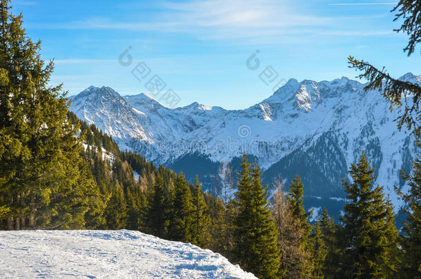 冬天白雪覆盖的山和绿色的水花的美丽景色