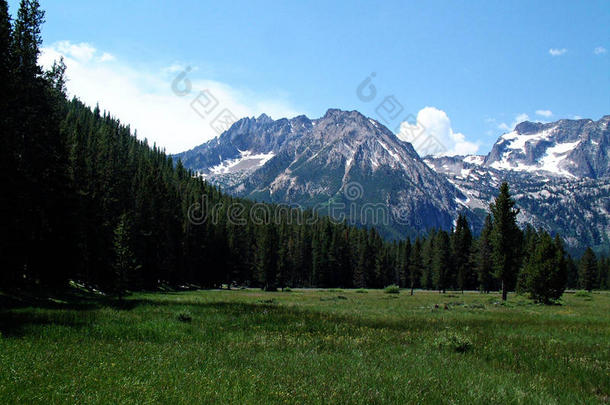 爱达荷州斯坦利附近的高山草甸和锯齿山