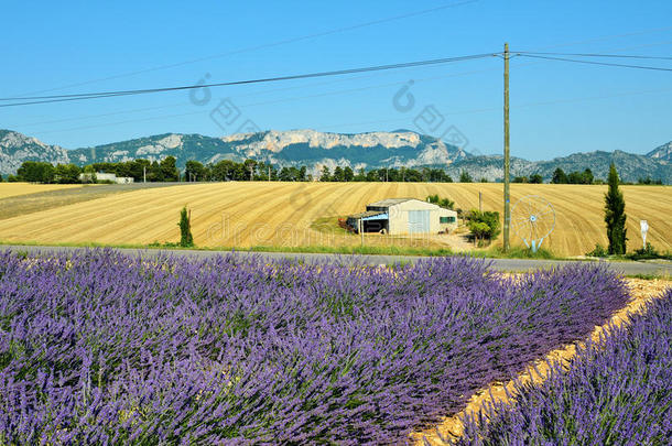 法国普罗旺斯乡村景观