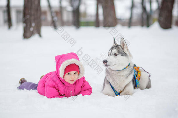 森林里雪中的女孩哈士奇