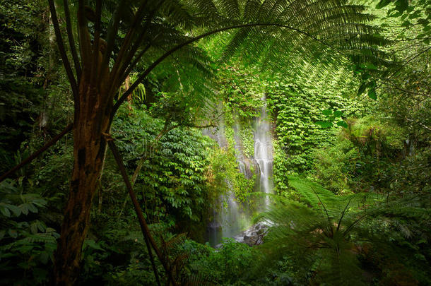 美丽的瀑布在丛林热带雨林。