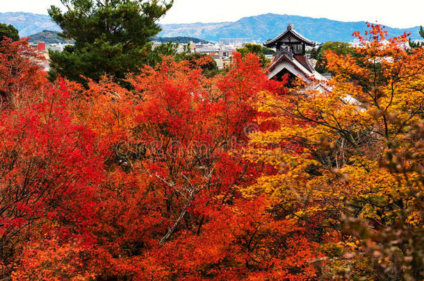 岚山亚洲秋天美丽的佛教