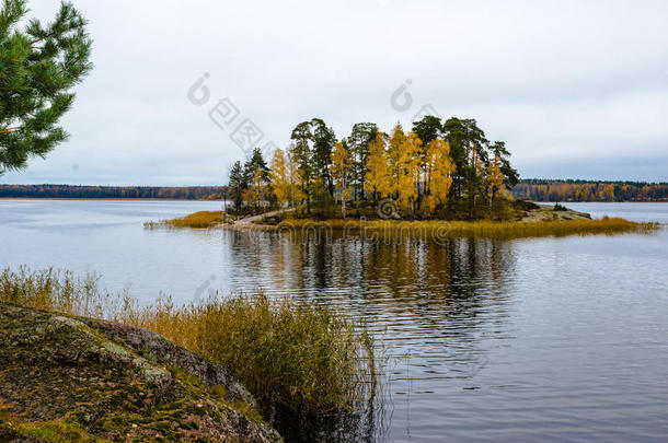 秋天的风景与湖岸和一个小岛