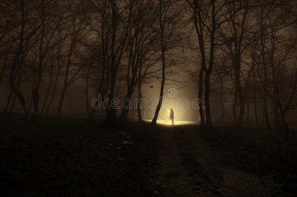 独自一人的女孩，晚上在森林里有灯光，或者是蓝色调的