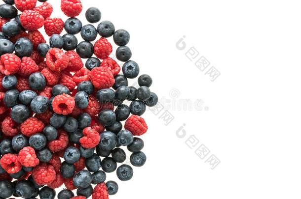 蓝莓和蓝莓<strong>水果</strong>