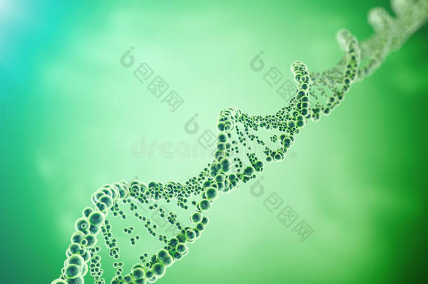 DNA分子，结构。 人类基因组概念的特写。 三维渲染医学概念