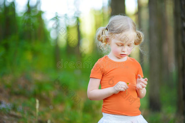 可爱的小女孩玩`爱我？ 不爱我？`雏菊花瓣游戏