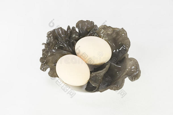 鸡蛋和黑色琼脂