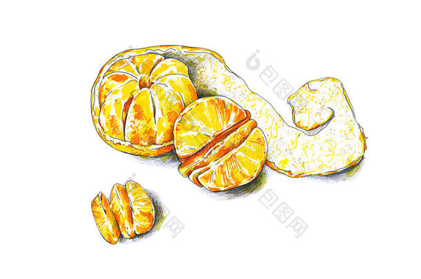 背景柑橘变明朗特写镜头颜色