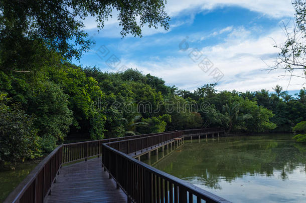 泰国普利公公园的清洁空气。