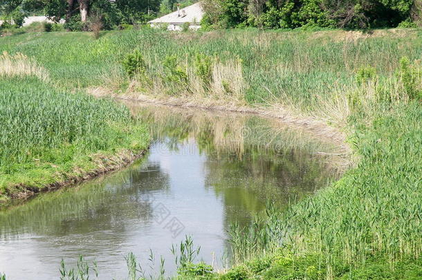 城市顿巴斯植物区系<strong>流量</strong>草