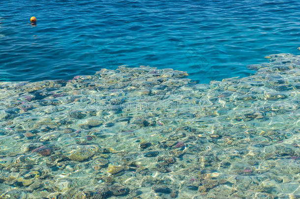 晶莹剔透的绿松石海，有珊瑚和珊瑚礁