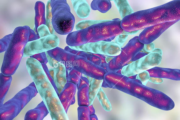 厌氧菌厌氧的芽孢杆菌细菌细菌学图片-包图网企业站