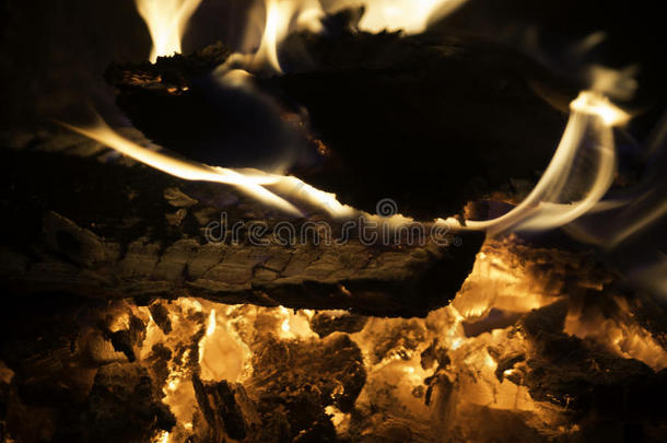 壁炉或篝火中木材燃烧和余烬的特写