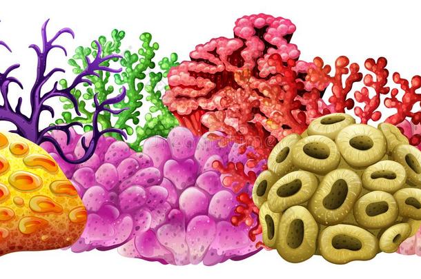 不同颜色的珊瑚礁
