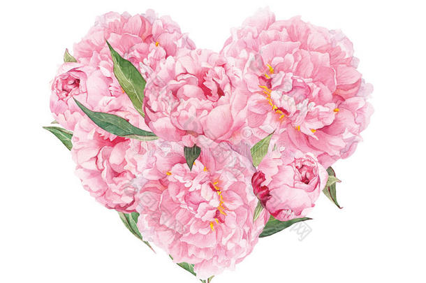 花心-粉红色牡丹花。 情人节水彩画，婚礼