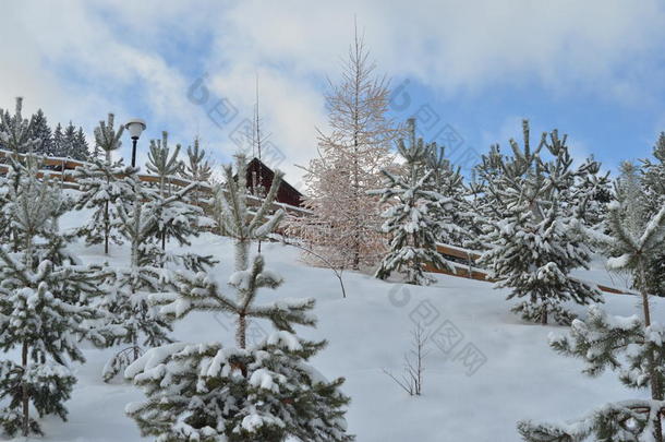 背景美丽的美女木屋圣诞节