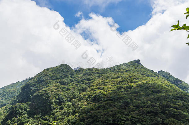 日本熊本山的美丽自然。