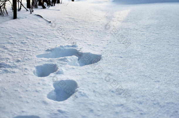 <strong>破裂</strong>的冰壳的颠簸表面。 高对比度<strong>纹理</strong>光和阴影。 雪地上的人类脚印。