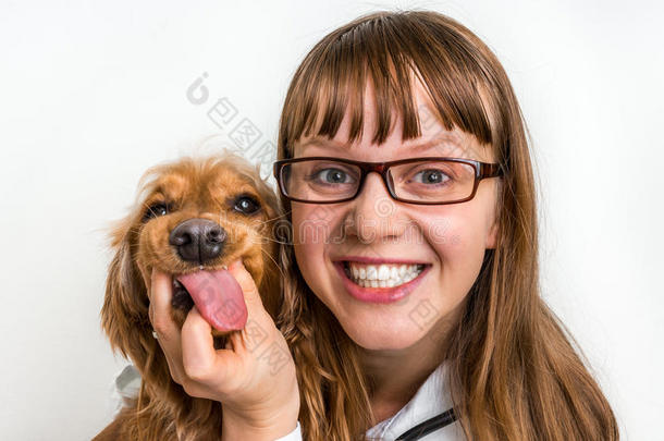 有趣的微笑狗与舌头和微笑的兽医