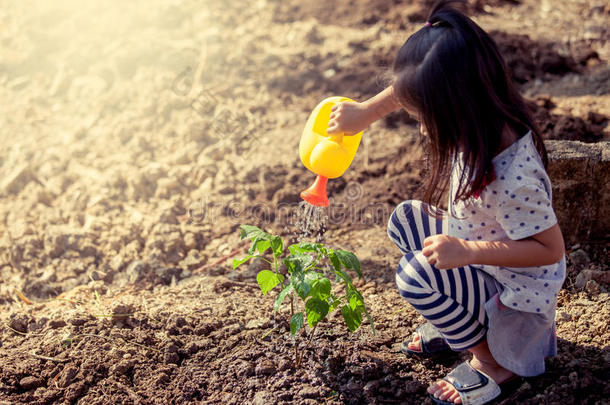 亚洲小女孩用水壶给小树浇水