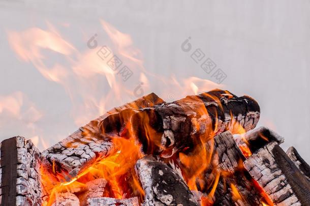 燃烧的木头-红色和橙色的火烧暖手