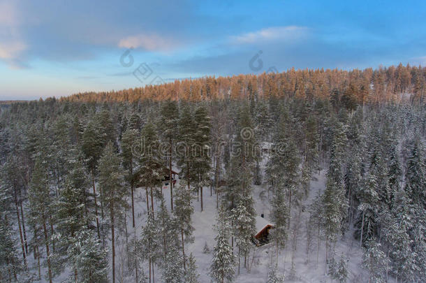 冬季雪景和森林的鸟瞰图