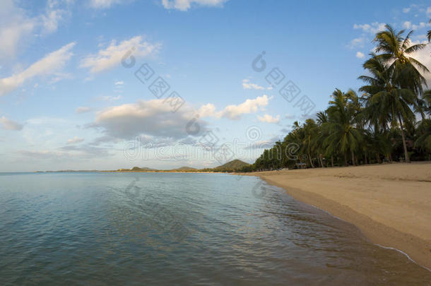 海滩幸福蓝色平静的加勒比