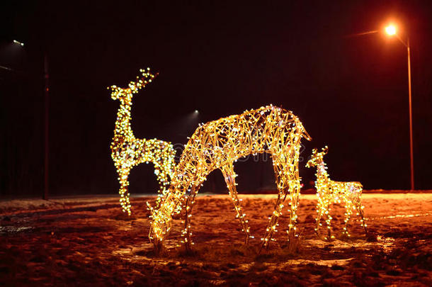 鹿科明亮的圣诞灯饰