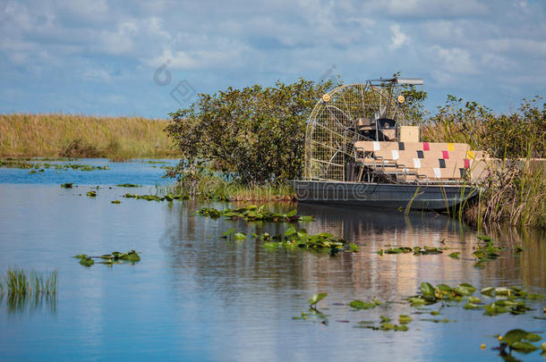 乘船游览沼泽在大沼泽地国家公园，弗洛