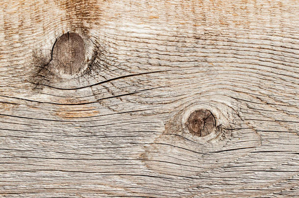 特写自然老木纹理与风化裂缝线，曲线，漩涡。 老化的表面。 抽象Grunge的细节