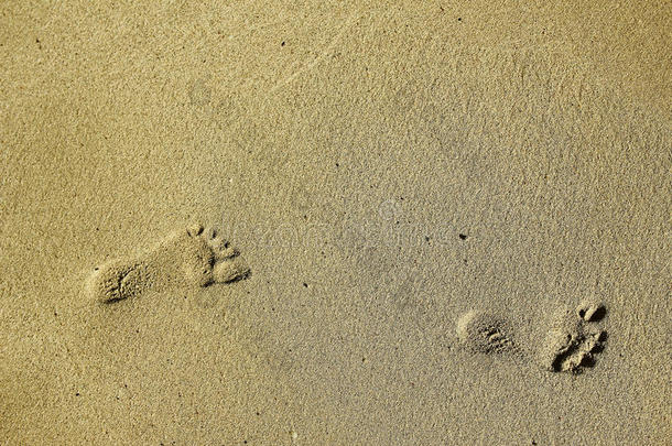 沙滩上沙滩上的脚印