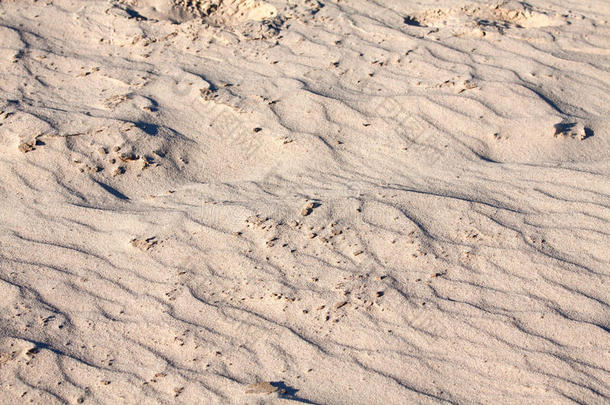 背景来自夏天阳光明媚的日子海滩上的沙子