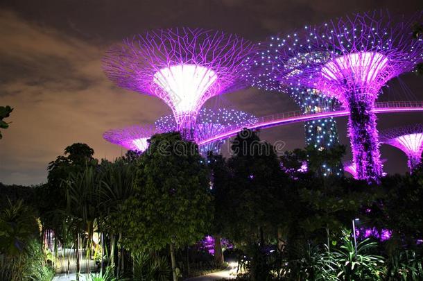 晚上在新加坡海湾旁的花园