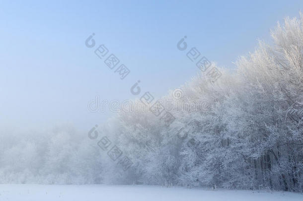 树木上美丽的霜冻和<strong>雾凇</strong>