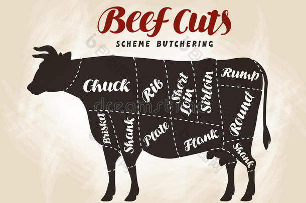 牛肉切，图表。 设计菜单餐厅或餐厅的矢量插图