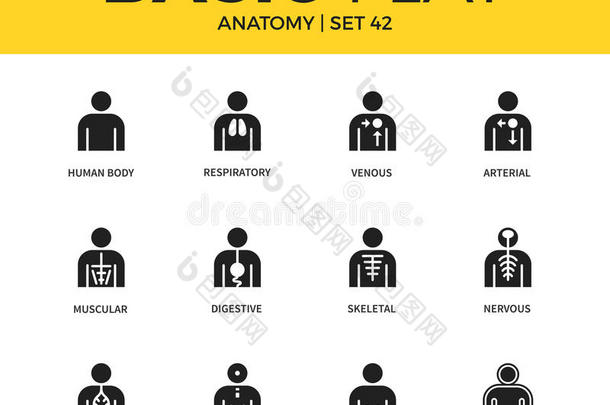 解剖图标的基本集合